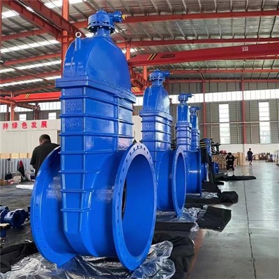 ডি স্লুইস ভালভ