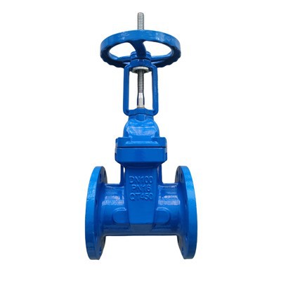 রাবার ওয়েজ গেট ভালভ