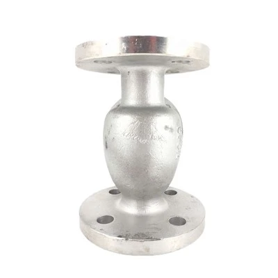 304 সুইং চেক ভালভ
